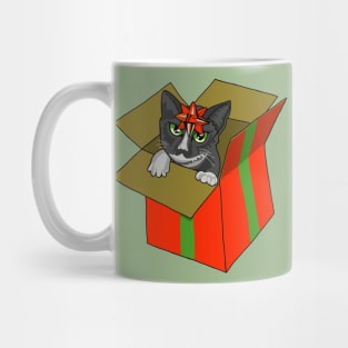 Under Wraps Mug